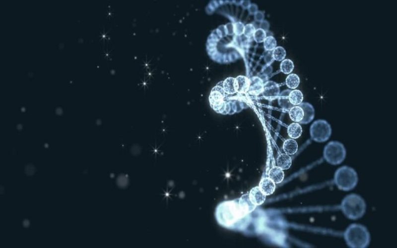 Scoperto un nuovo kit in grado di riparare il DNA