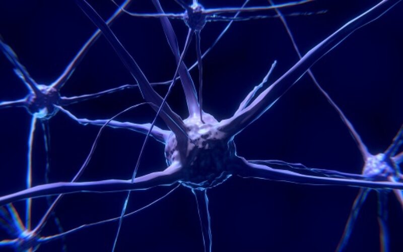 Alzheimer, all’origine l’accumulo eccessivo di ferro nella neocorteccia